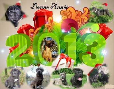 Des terres de médulli - Bonne et heureuse Année 2013 !!!
