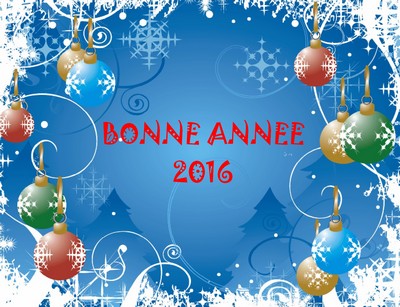 Des terres de médulli - Bonne Année 2016 !!!