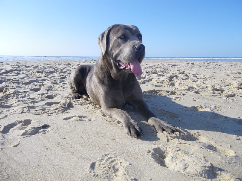 Plage